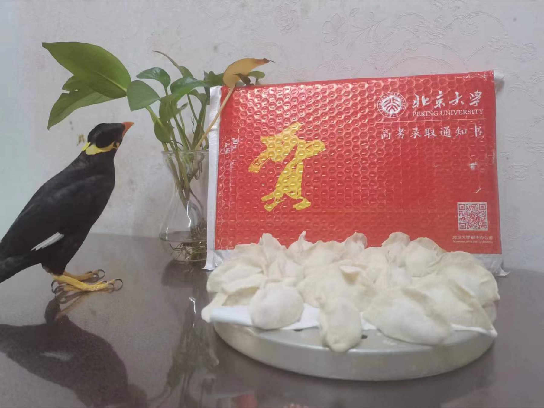 小黄查看北京大学录取通知书
